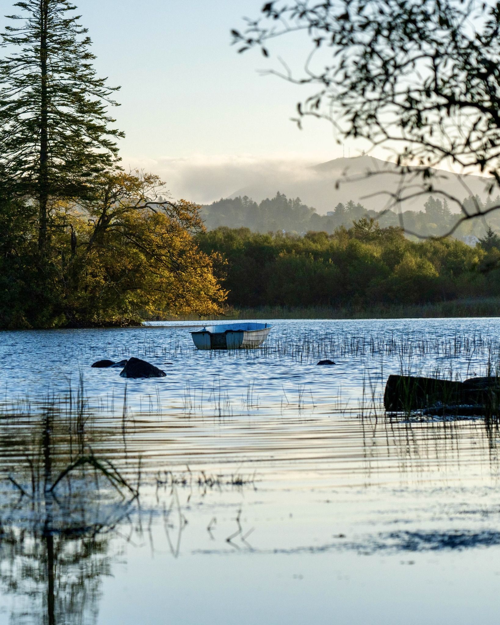 Luxury Irish Tours |  | Desktop