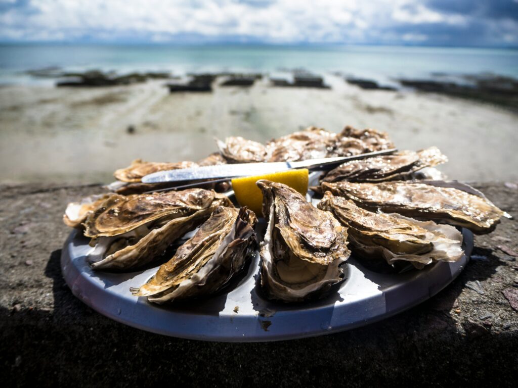 Irish Oysters