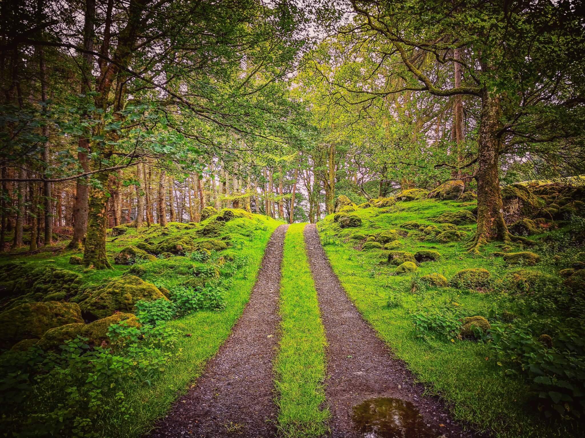 Luxury Irish Tours |  | Desktop