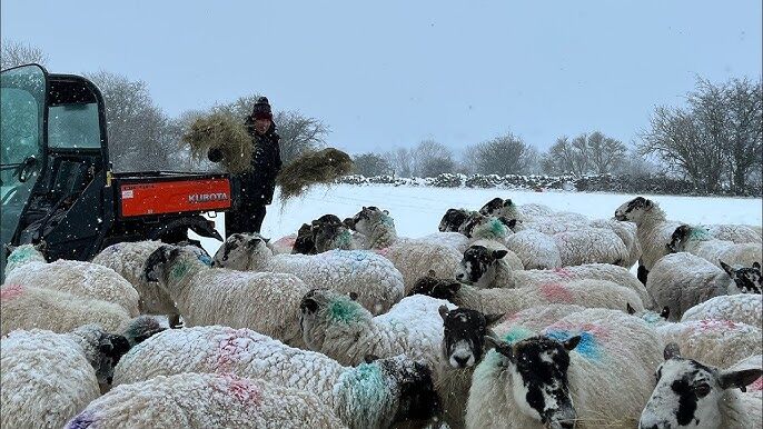 Luxury Irish Tours |  | Desktop