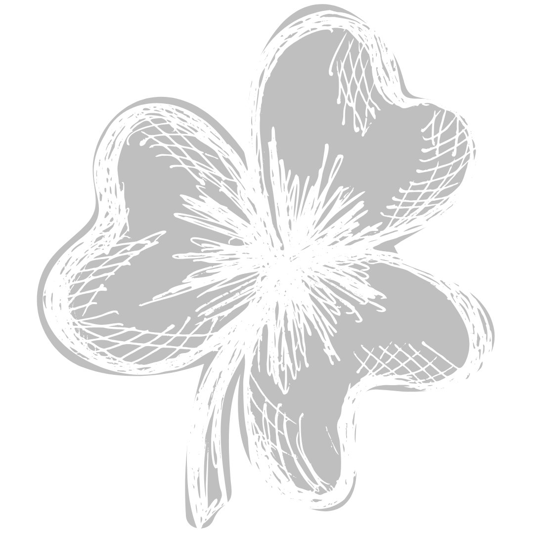 Luxury Irish Tours | Shamrock Luxury Ireland