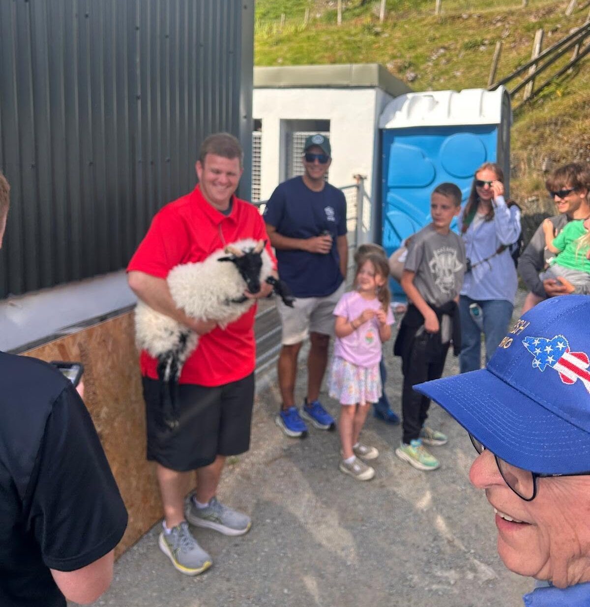 Sheep Farming Experience Ireland
